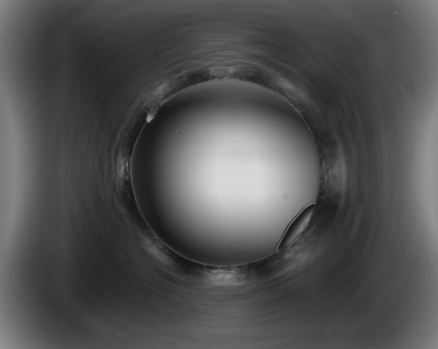 X0000086000574200703300950