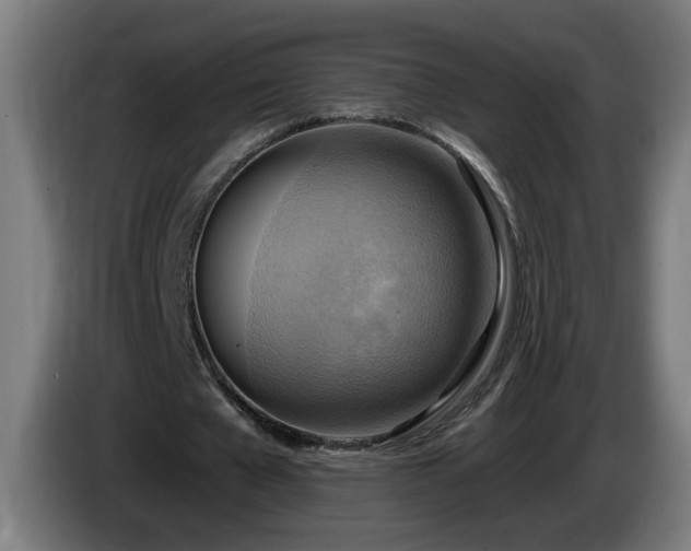 X0000086000577200703300950