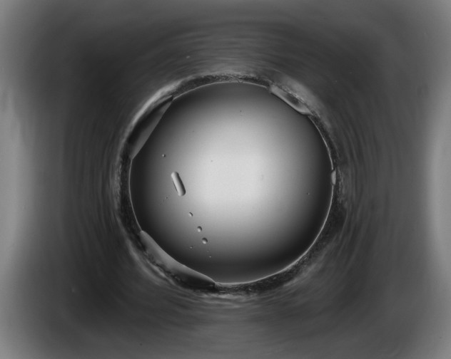 X0000086000580200703300950