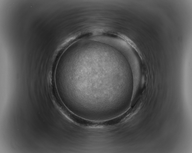 X0000086000581200703300950