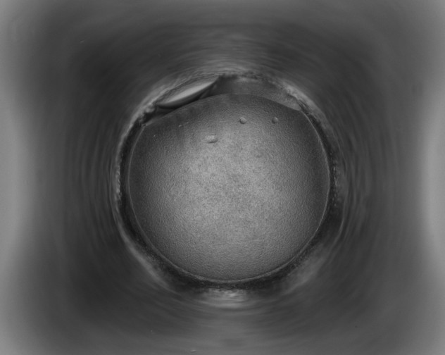 X0000086000582200703300950