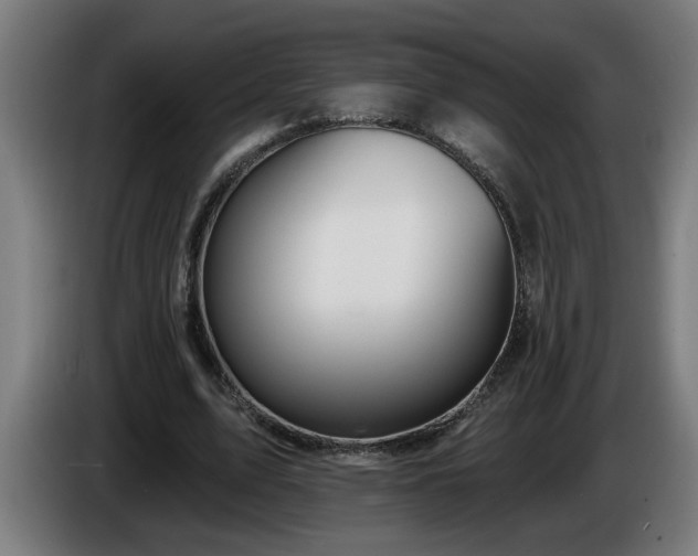 X0000086000583200703300950