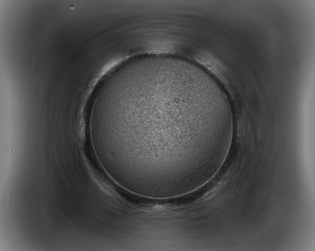 X0000086000584200703300950