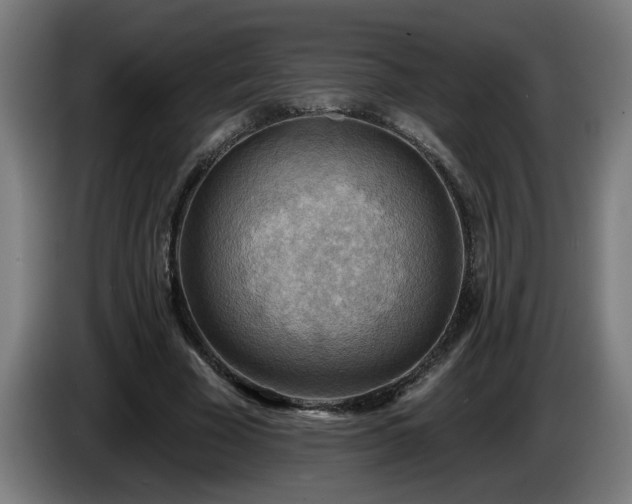 X0000086000585200703300950