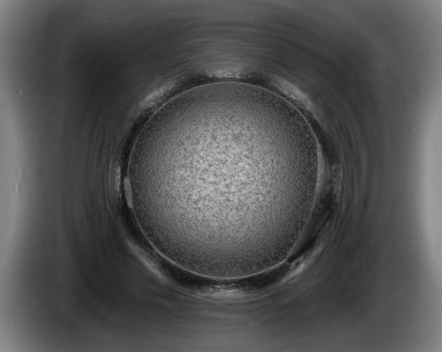 X0000086000589200703300949