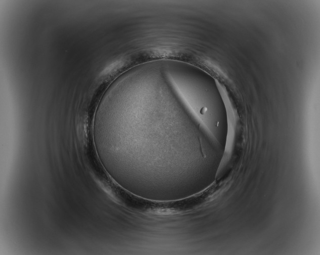 X0000086000590200703300949