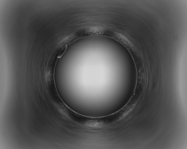 X0000086000597200703300949