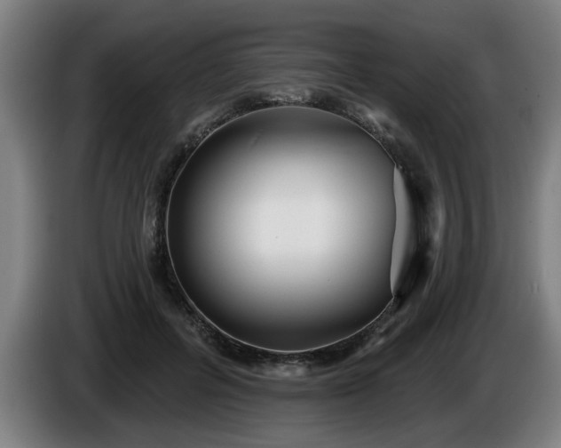 X0000086000600200703300949