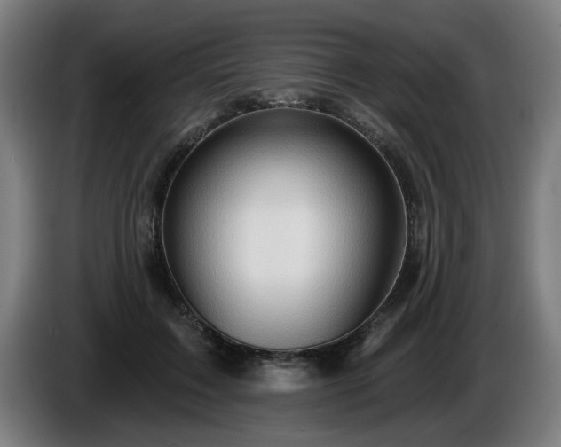 X0000086000603200703300949