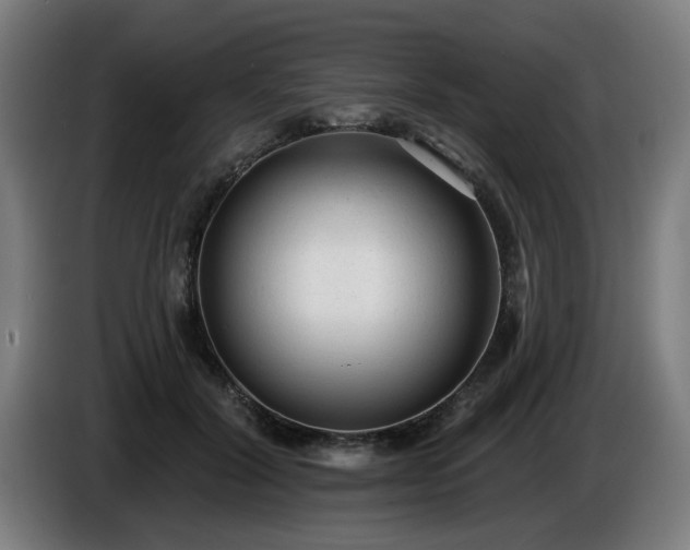 X0000086000604200703300949