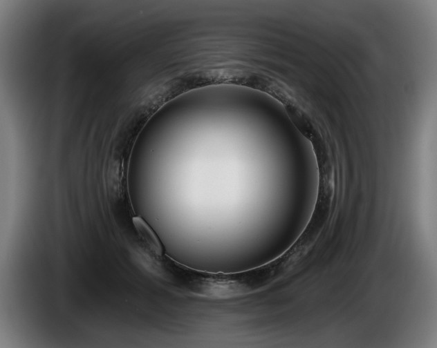 X0000086000605200703300949