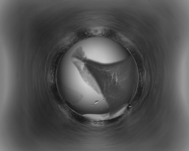 X0000086000606200703300949