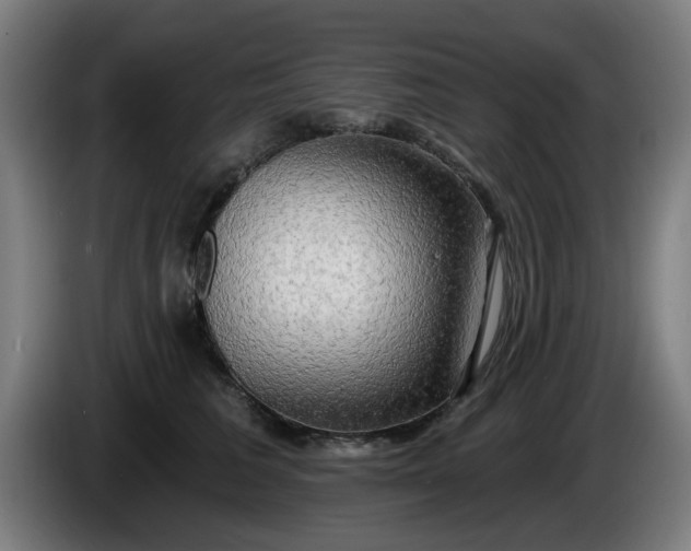 X0000086000613200703300949