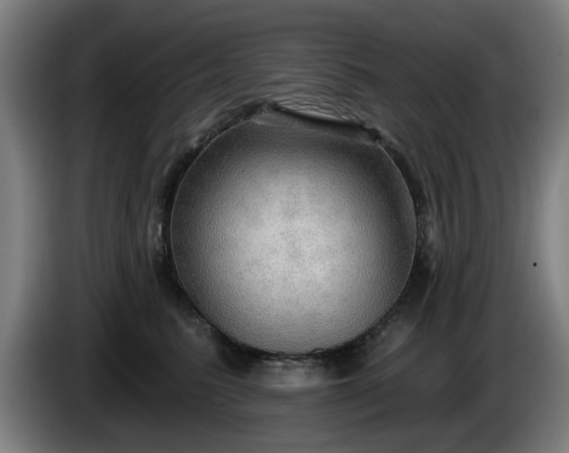 X0000086000615200703300949