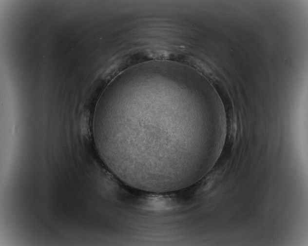 X0000086000616200703300949