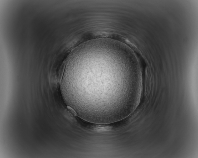 X0000086000617200703300949