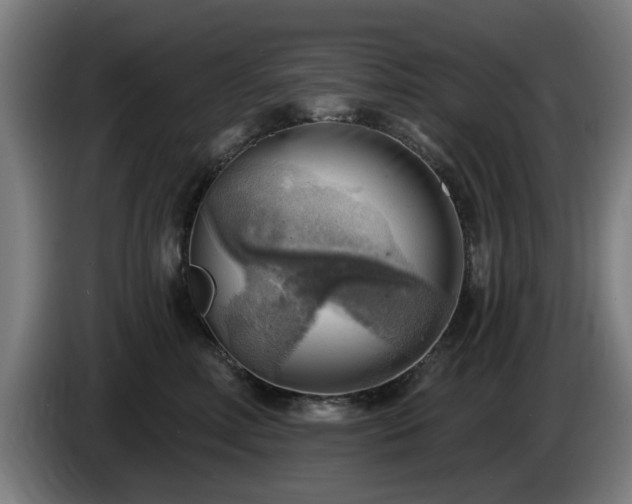 X0000086000618200703300949