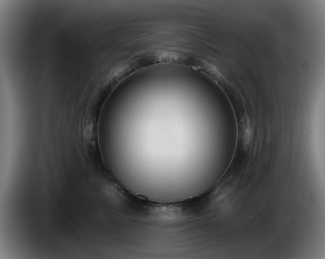 X0000086000619200703300949