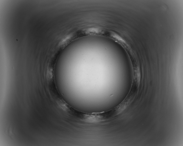 X0000086000621200703300949