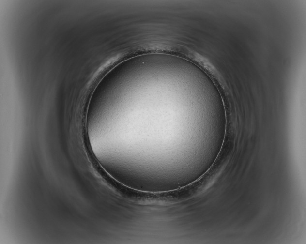 X0000086000625200703300948