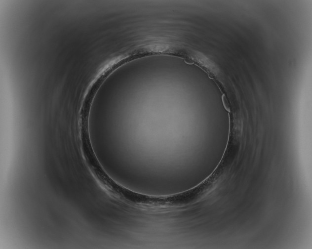 X0000086000626200703300948