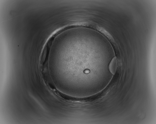 X0000086000628200703300948