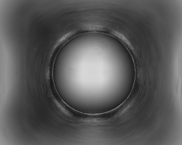 X0000086000629200703300948