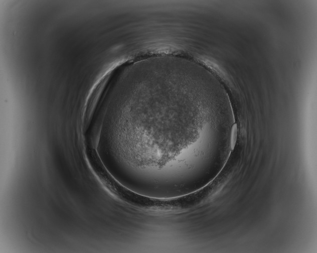 X0000086000630200703300948