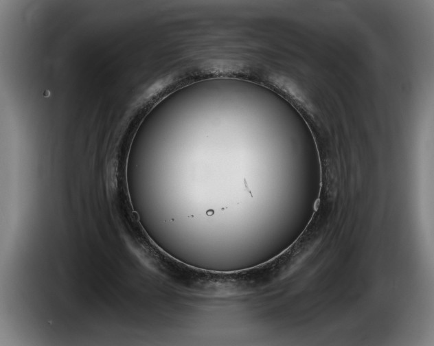 X0000086000631200703300948