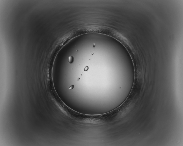 X0000086000633200703300948