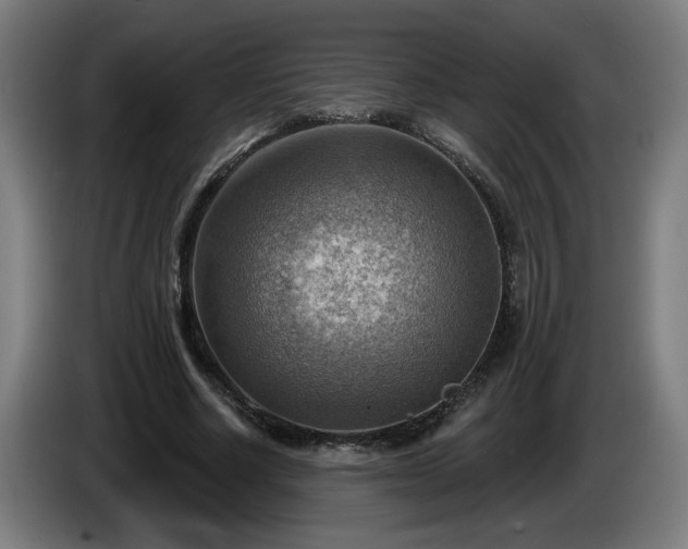 X0000086000634200703300948