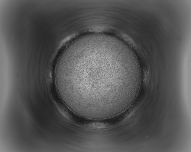 X0000086000636200703300948