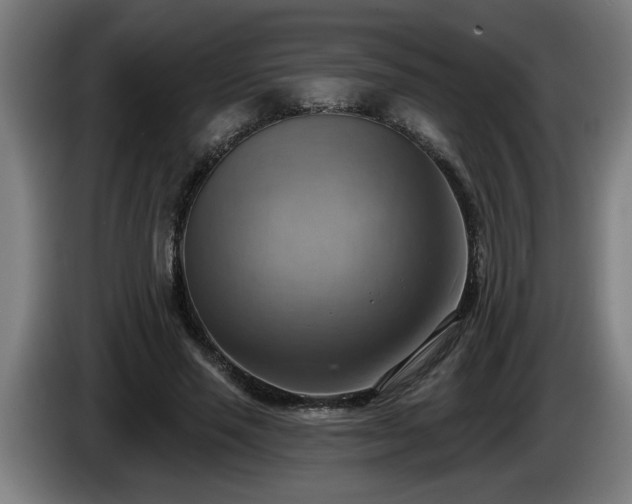 X0000086000637200703300948