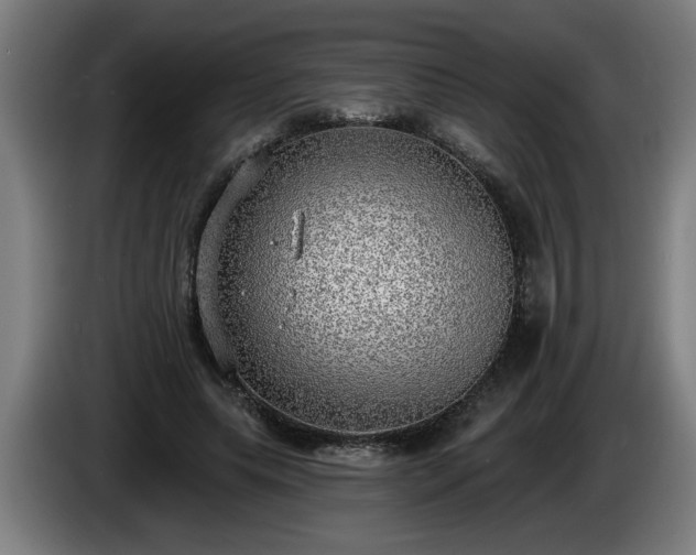 X0000086000639200703300949