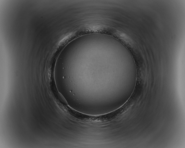 X0000086000640200703300949