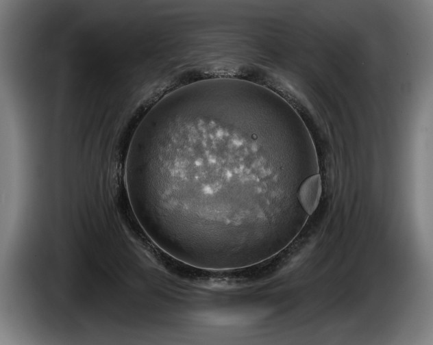 X0000086000641200703300949