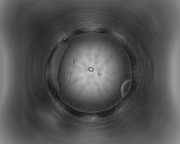 X0000086000642200703300949