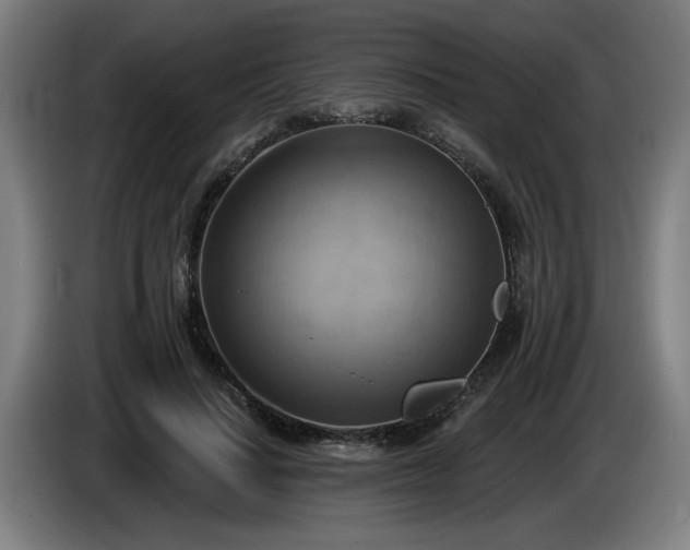 X0000086000644200703300949