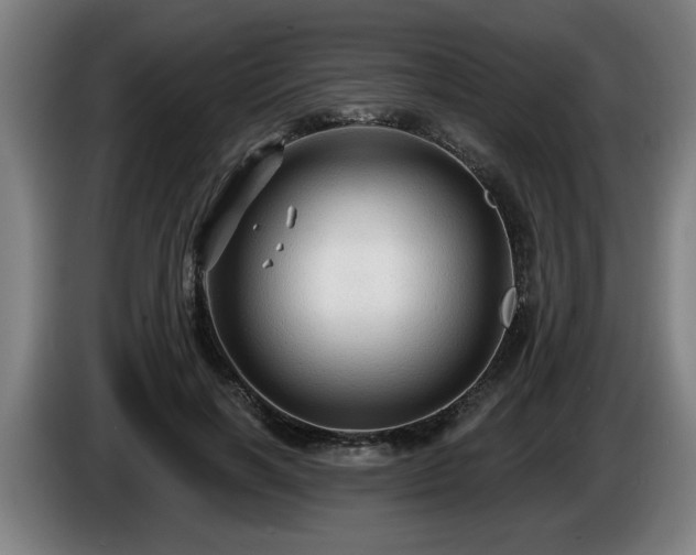 X0000086000646200703300949