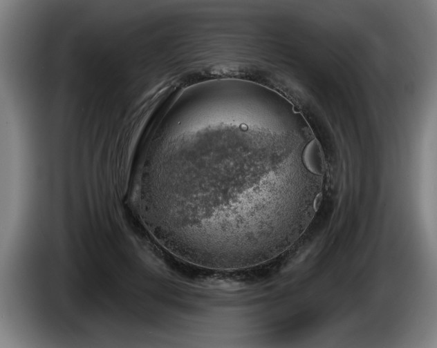 X0000086000648200703300949