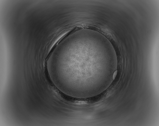 X0000086000649200703300949