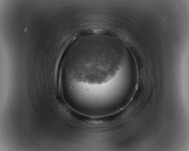 X0000086000650200703300949