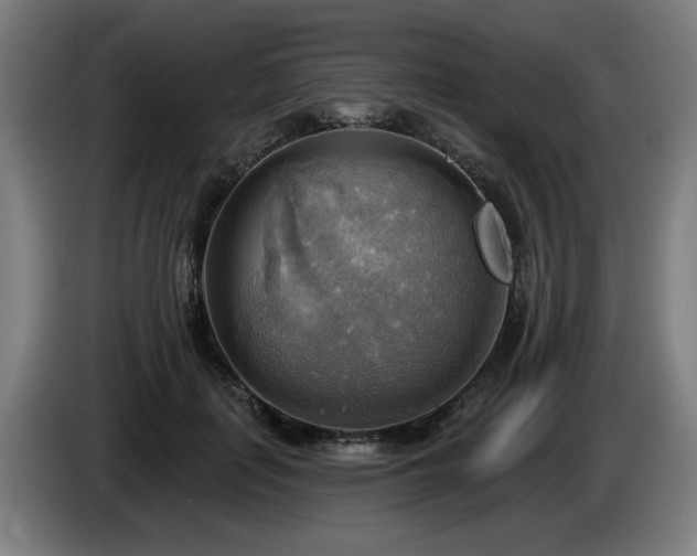 X0000086000651200703300949