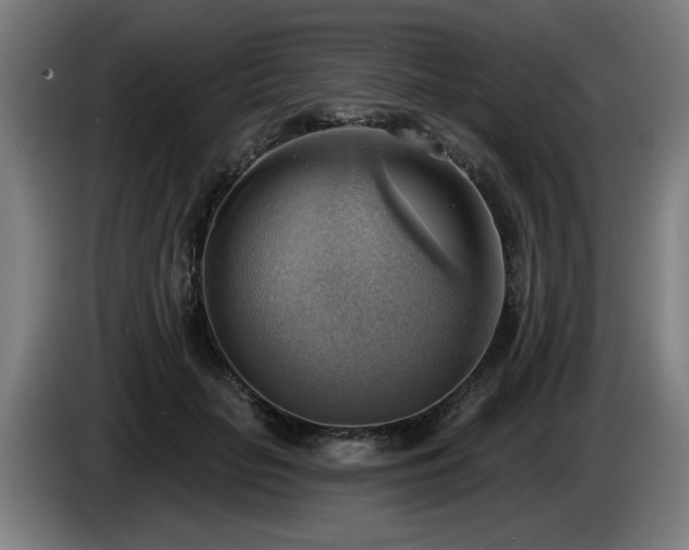 X0000086000653200703300949