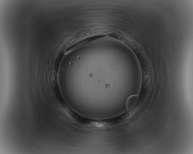 X0000086000654200703300949