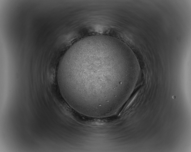 X0000086000656200703300949