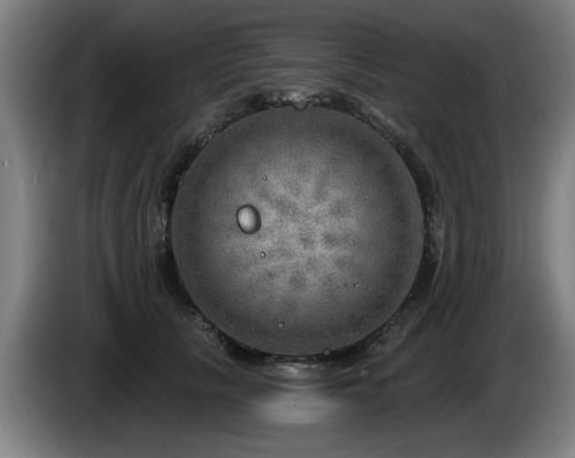 X0000086000657200703300949