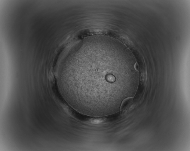 X0000086000662200703300949