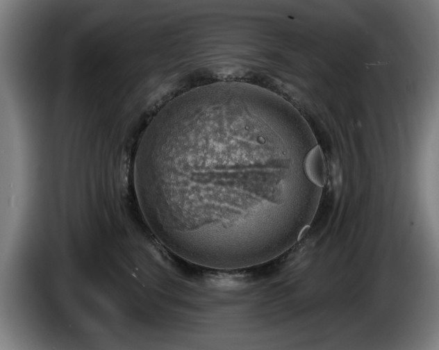 X0000086000664200703300949