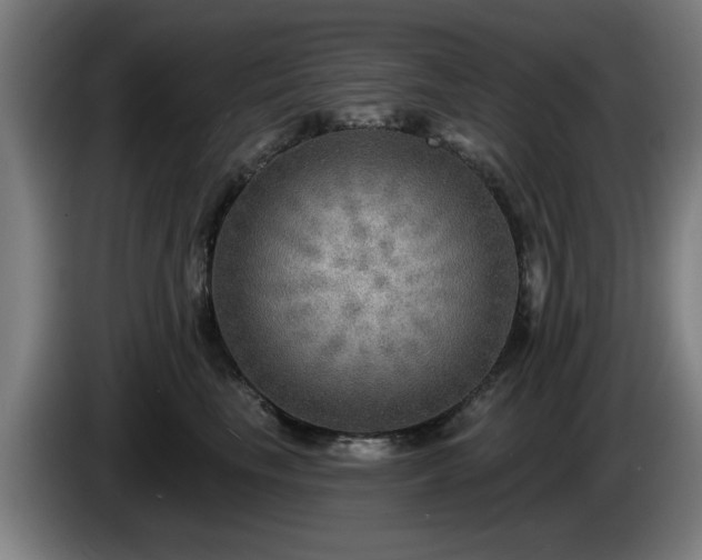 X0000086000665200703300949